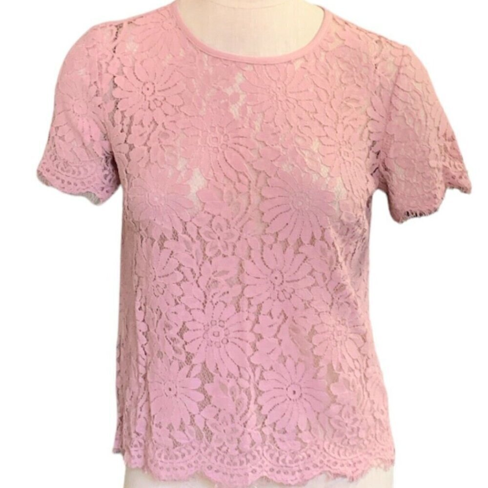 Rebellion Dusty Pink Floral Lace Short Sleeve‎ Top Sz M #351H